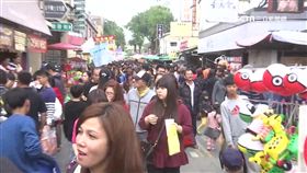 安平老街　偷拍狼