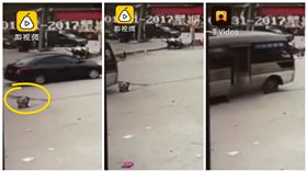 《梨視頻》　輾斃