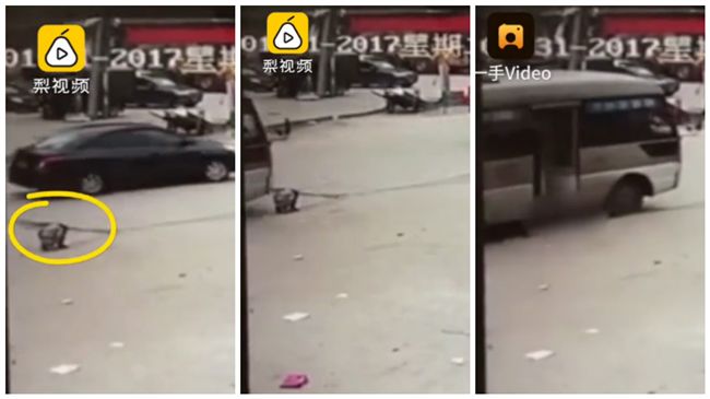 馬路中央上廁所　女童慘遭巴士輾斃