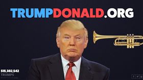 川普，洩恨網站（圖／翻攝自http://trumpdonald.org網站）