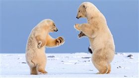 （圖／翻攝自每日郵報）