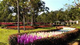 苗栗客家大院委外經營，遊客抱怨花兩百買門票卻進場看塑膠花、假動物／翻攝自臉書－貓貍影城桐花樂園