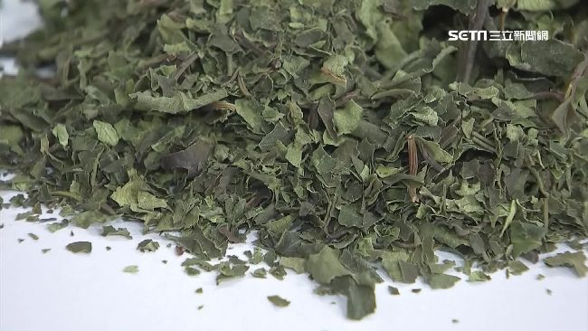 「東非罌粟」恰特草　新毒品台首破獲