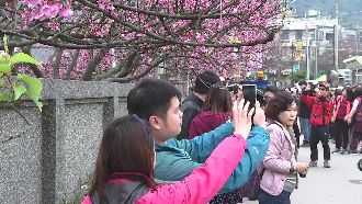 變天前趕出遊　各地景點湧入上萬人