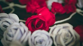 玫瑰花
▲圖／攝影者IanChouTaiwan, flickr CC License
https://goo.gl/nZs2KT