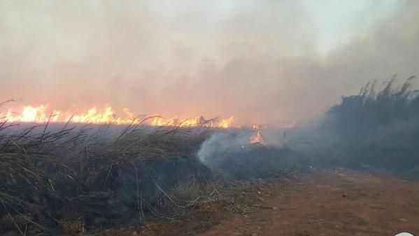 桃園新竹交界山林大火　警消搶救中