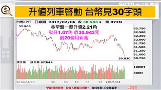 0206　台幣狂升外資炒匯?
