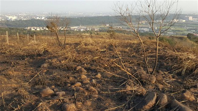 楊梅山林大火延燒5小時　燒20公頃