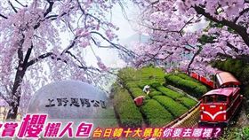 名家_網路溫度計_2017賞櫻懶人包