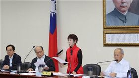 國民黨中常會,洪秀柱（圖／國民黨提供）