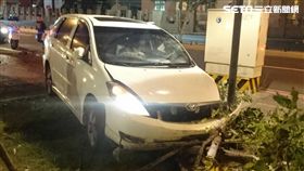 陳男偕友吃薑母鴨後酒駕返家，行經8號越堤道時，為了閃避機車自撞安全島，再反彈衝進公園才停止（翻攝畫面）
