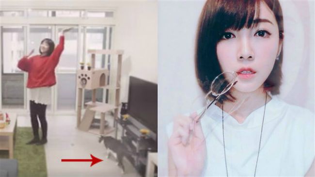 愛貓衝鏡頭前　女星跳舞風采被搶光