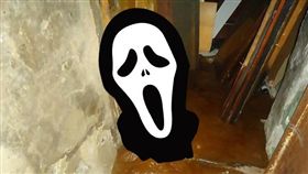 翻攝英國《每日郵報》