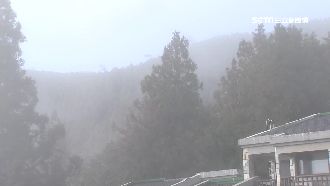 遊客聚集太平山！備三天糧食興奮追雪