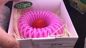 草莓（圖／翻攝自都市報）
