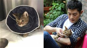 圖／翻攝自施易男、Snow臉書