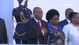 在野不會打1100.