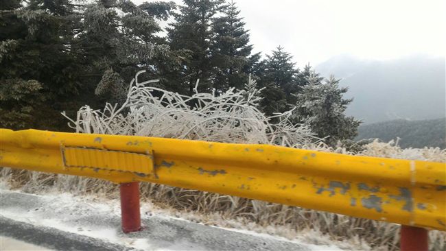 海拔不到兩千公尺　中橫路段飄雪了