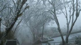 寒流、冰冷、寒冷、太平山、冰霰、霧淞、雪白、銀白（圖／翻攝自太平山國家森林遊樂區臉書）