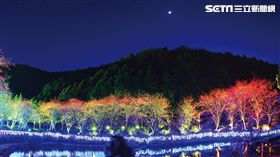 日月潭櫻花綻放　各景點櫻花全蒐羅(圖／交通部觀光局日月潭國家風景區管理處)
