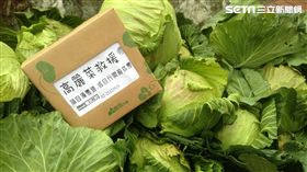 出席電台春酒活動　鄭弘儀為高麗菜農哽咽