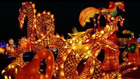 燈王,祥龍獻瑞／爆料公社