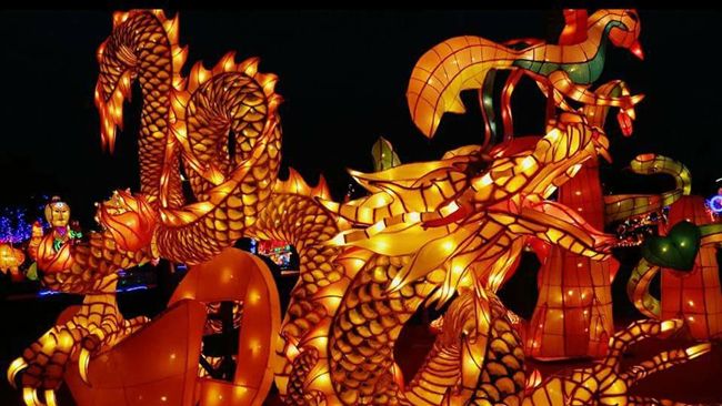 燈王被燒毀　作者自嘲：飛龍在天！