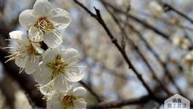 圖片來源：滔客線上雜誌