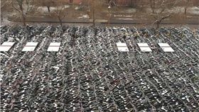 單車,腳踏車,大陸,鄭州大學,映象網　圖／翻攝自映象網