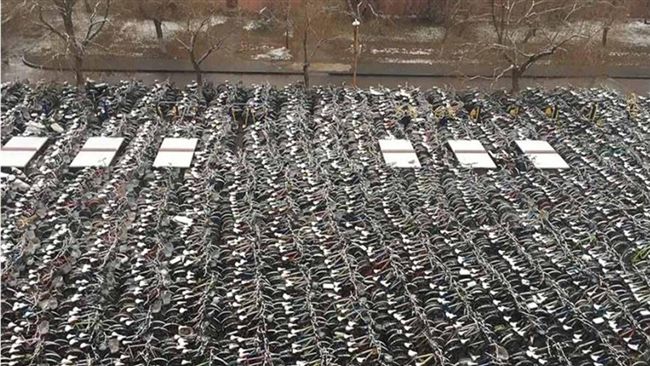 超壯觀！大學內竟清出二千台廢棄單車