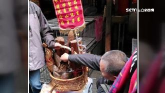 暗樁幫銷售？市場擺攤叫賣珍貴牛樟芝
