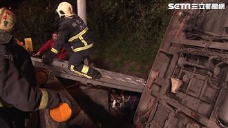 觀光局：無法聯繫上蝶戀花旅行社