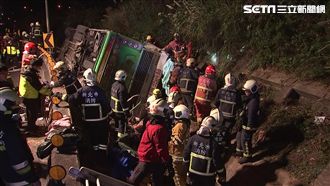 揭密／賞櫻翻車慘劇　全因低價釀禍？