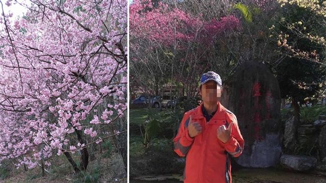 遊覽車翻覆　領隊不久前PO櫻花美照