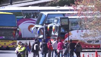 急砍高風險一日遊！旅遊業者憂心生計