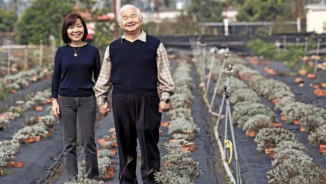 牽手35年　總裁夫婦打造草藥理想國