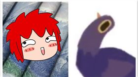 垃圾鴿,Trash doves,搖頭,臉書,作者,西華勒, Syd Weiler,爆笑公社,台幣,台灣 圖／爆笑公社