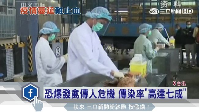 防疫會議騎馬　防檢局長：馬也是動物