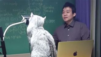 聽數學只能認真3秒　喵皇：聽不懂啦