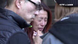 賞櫻遊遇翻車　女逃死劫謝大甲媽護體