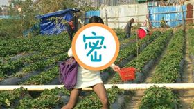 圖／翻攝自報廢公社