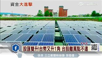 大同布局太陽能　搭順風車股價漲一倍