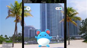 pokemon GO 寶可夢GO 翻攝影片