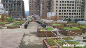 北市副市長林欽榮16日召開田園城市推廣實施計畫府級專案會議，表示未來將推廣綠屋頂計畫　北市府提供