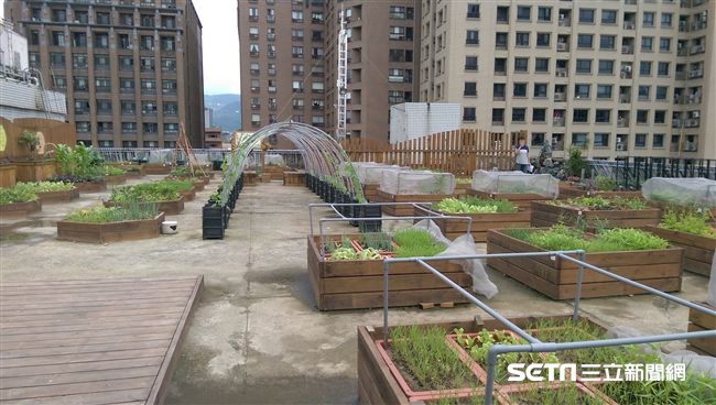 繼田園城市　柯市府推綠屋頂計畫