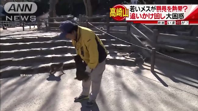 小母猴愛上大叔　熱情飛撲緊抱大腿