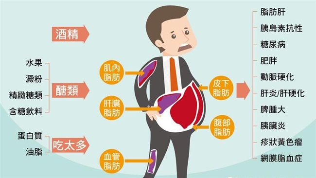 返家八千里的動力？　談三酸甘油酯