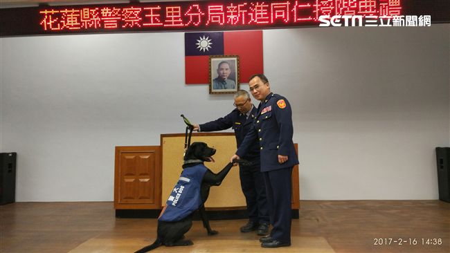 狗警員升為一線四星！另類授階成焦點