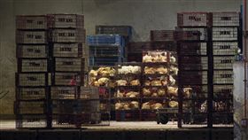 禽流感,H5N6　圖／中央社 16:9