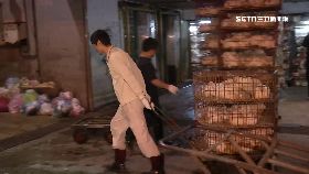 p聰賢禽流感2400.